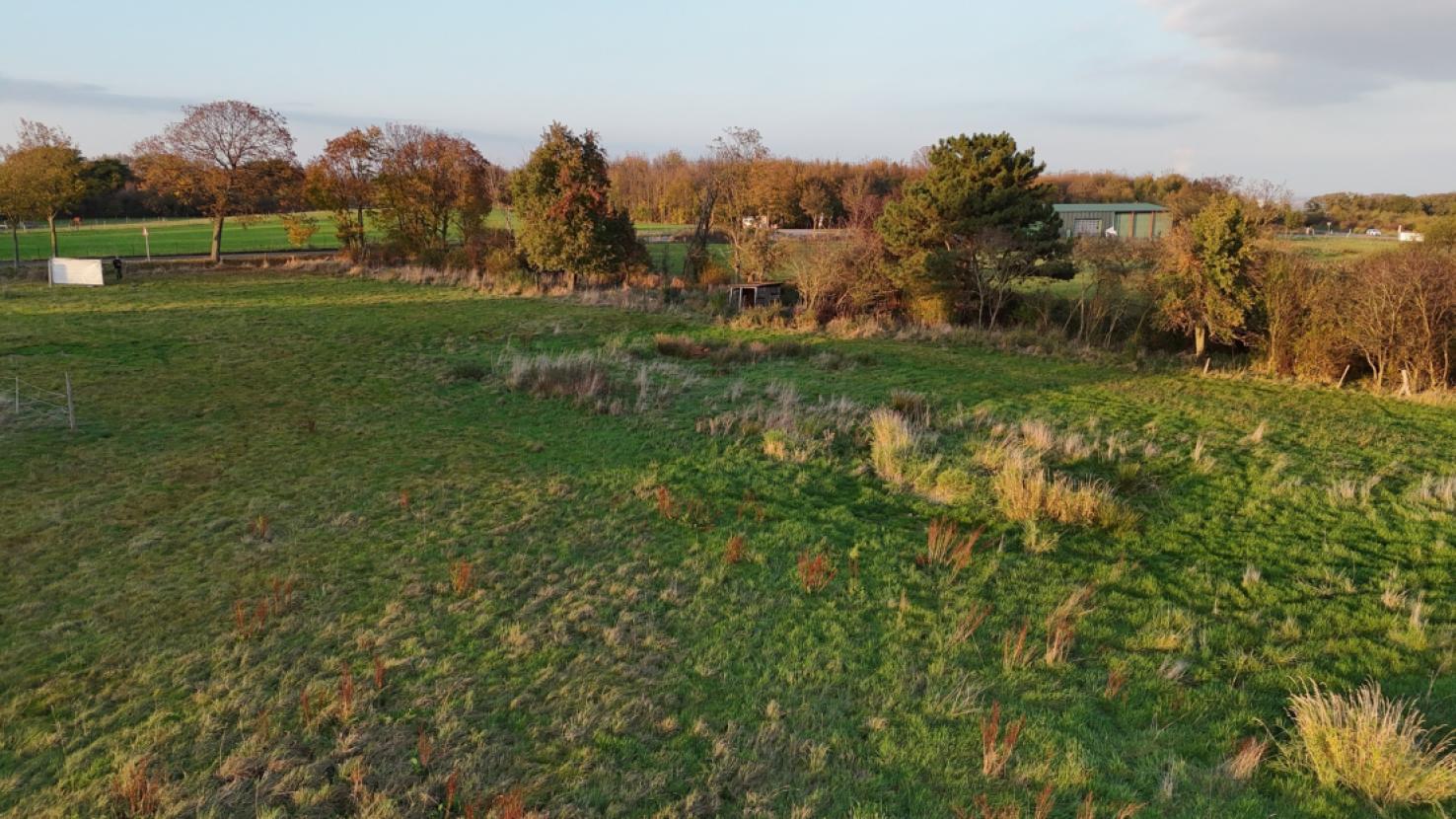 dji_fly_20241031_162548_0198_1730793456003_photo