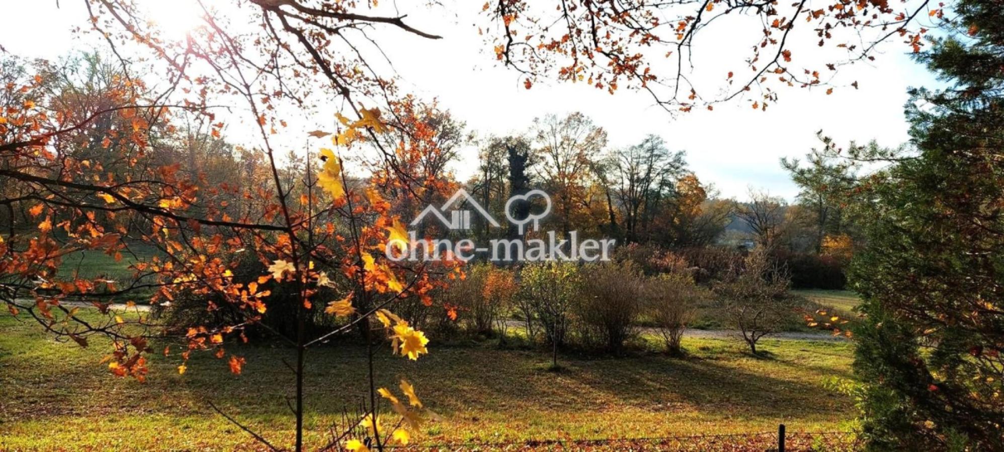 Blick vom Grundstück 