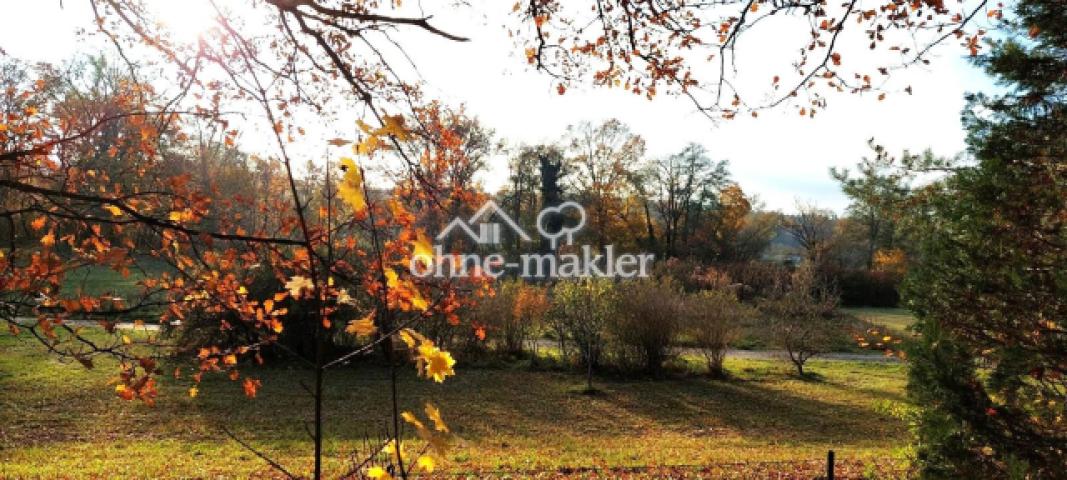 Blick vom Grundstück 