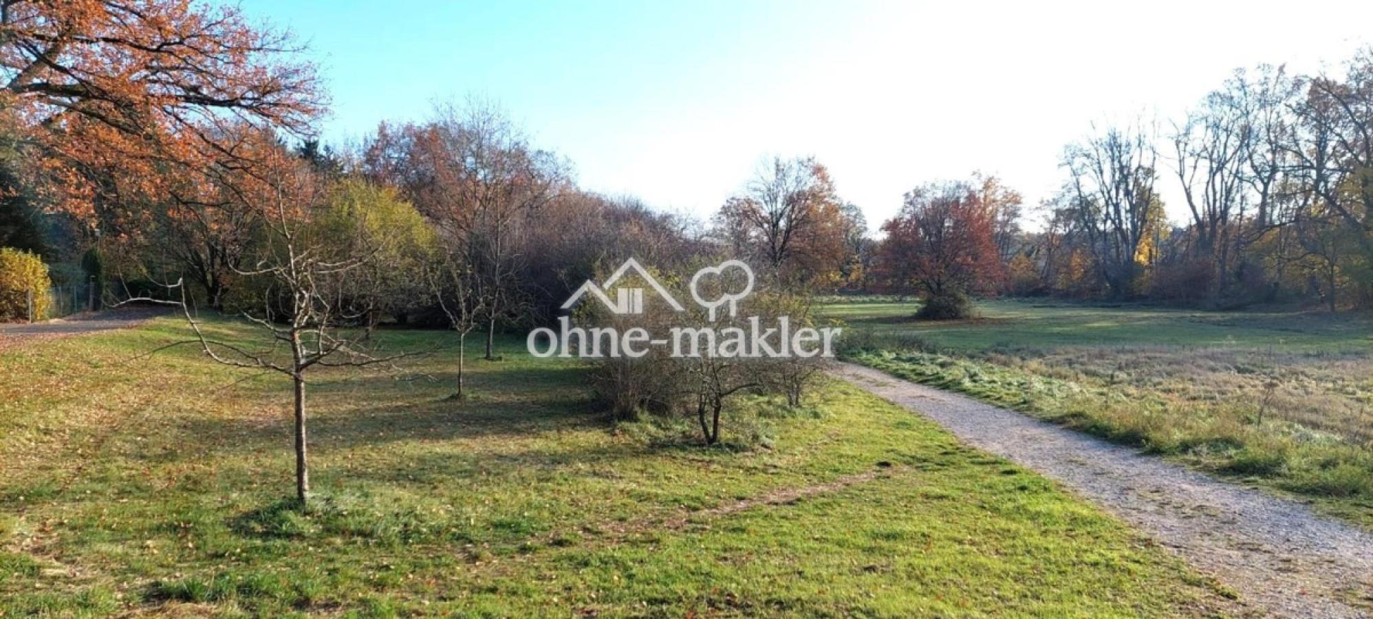 Rednitzauen unterhalb vom Gs