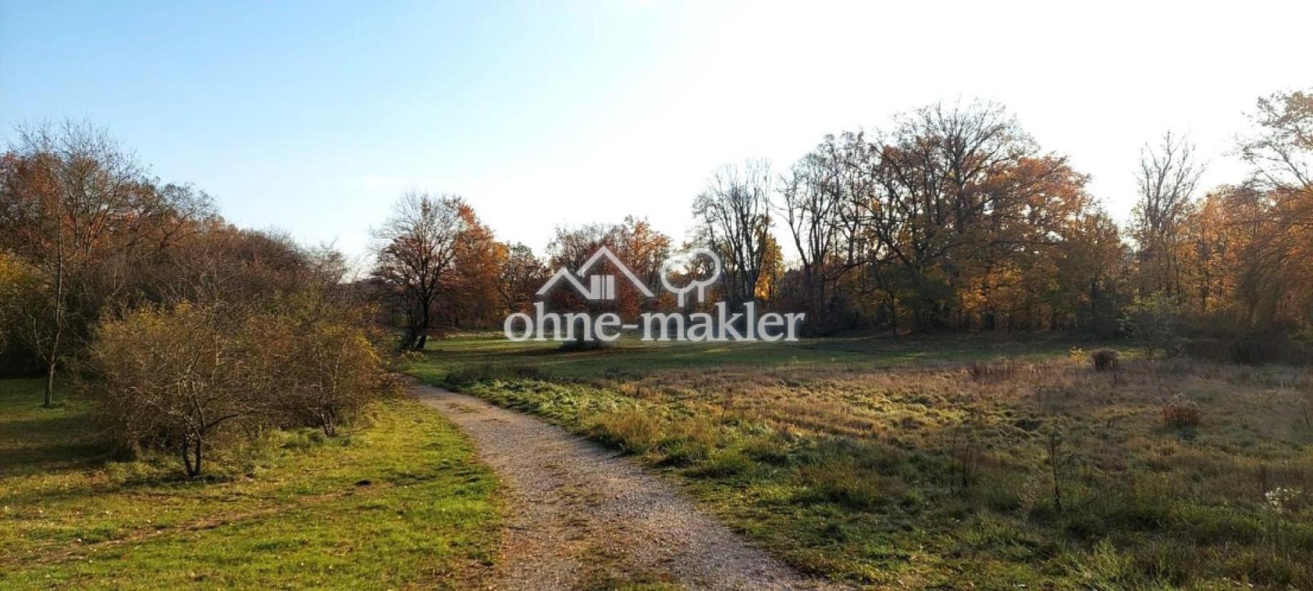 Wiesengrund direkt unterhalb