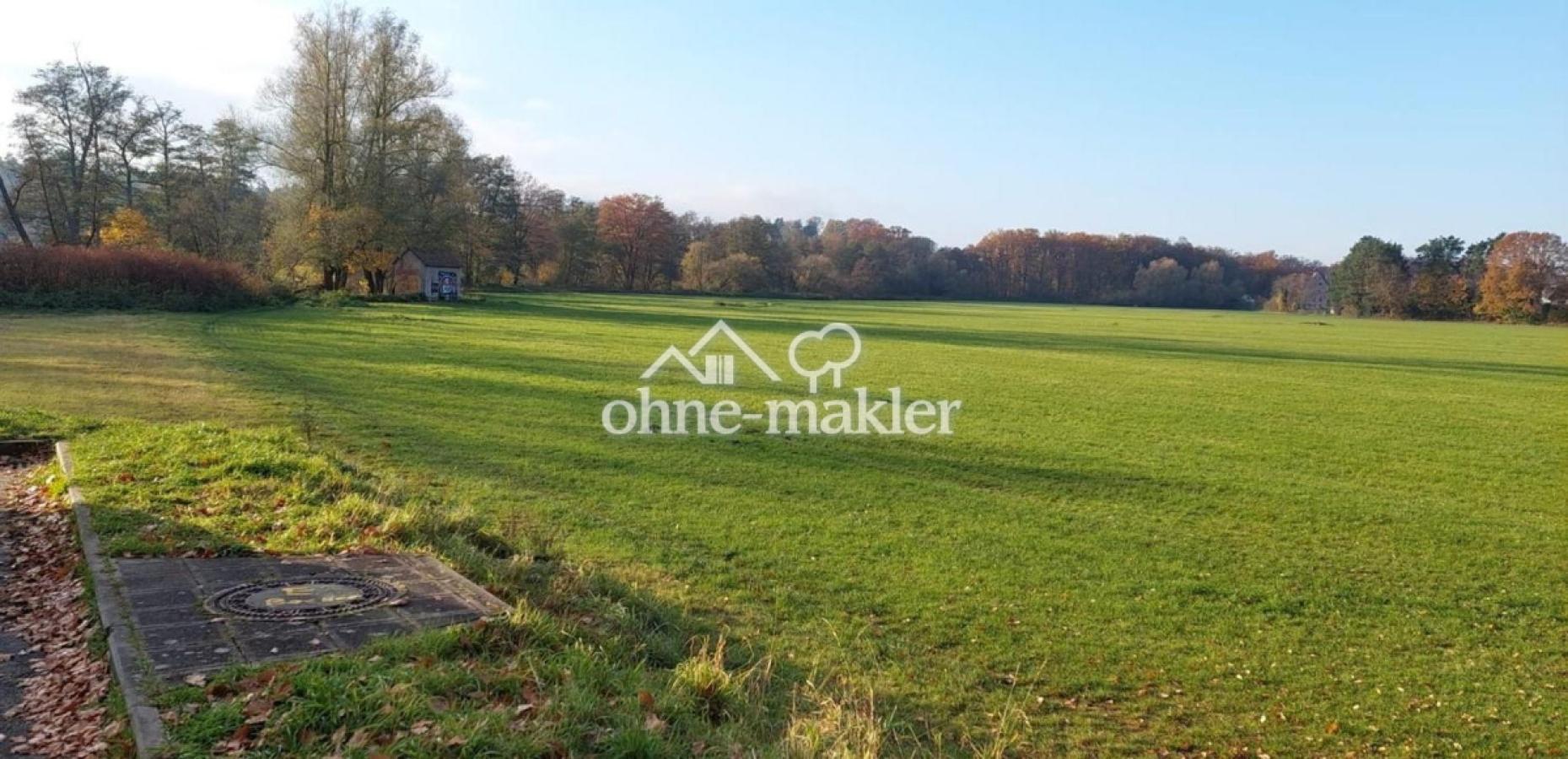 Wiesengrund direkt unterhalb