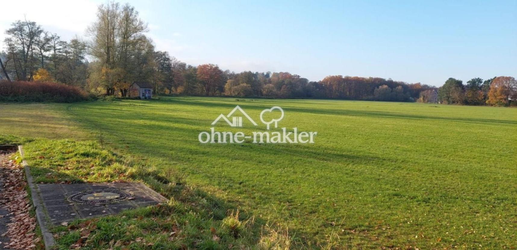 Wiesengrund direkt unterhalb