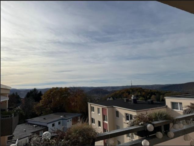 Panoramablick vom Balkon