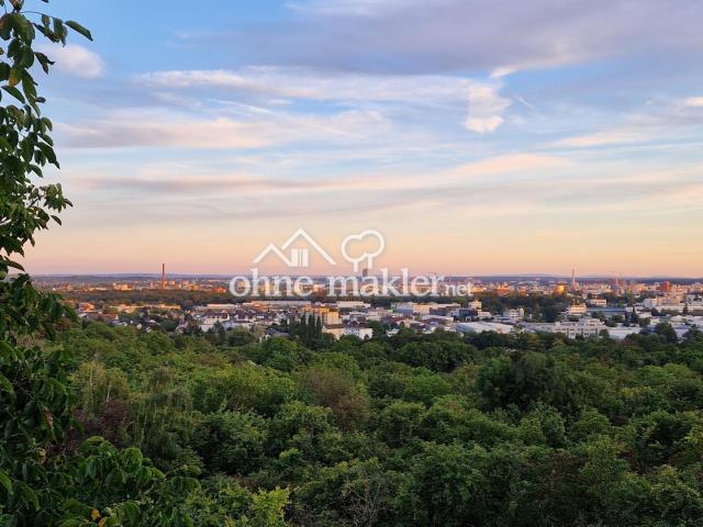 Fernblick von der Terrasse