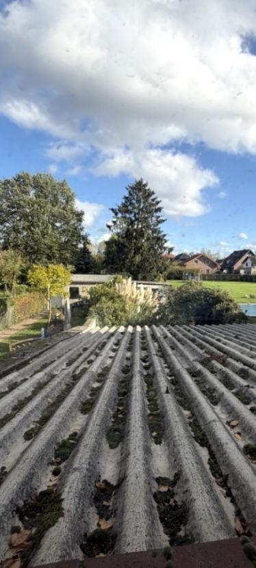 18-Blick aus dem Bad in den Garten-Ost