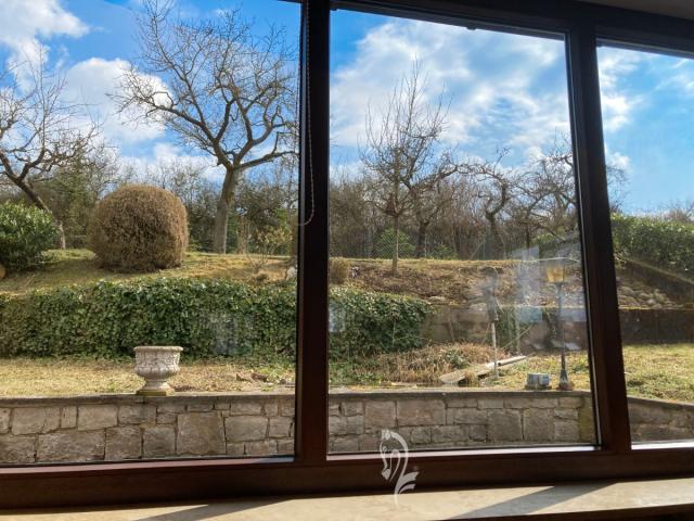 Aussicht vom Wohnzimmer in den Garten