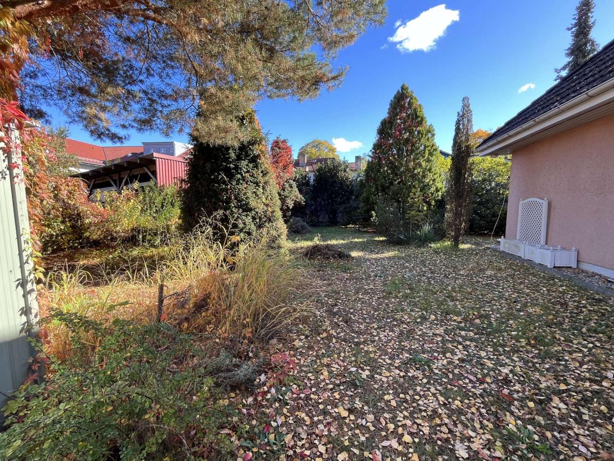 Garten hinter dem Haus