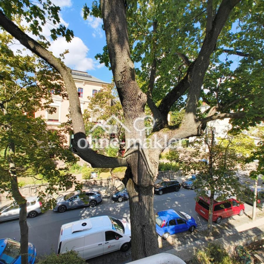 Blick Richtung Straße 