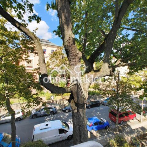 Blick Richtung Straße 