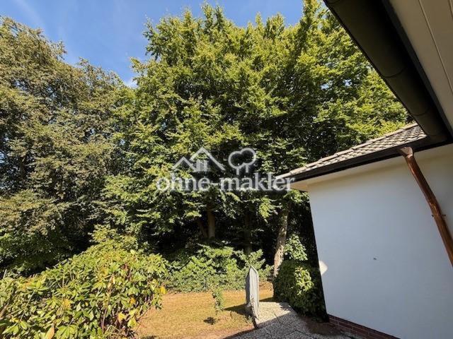 Teil des Hintergartens