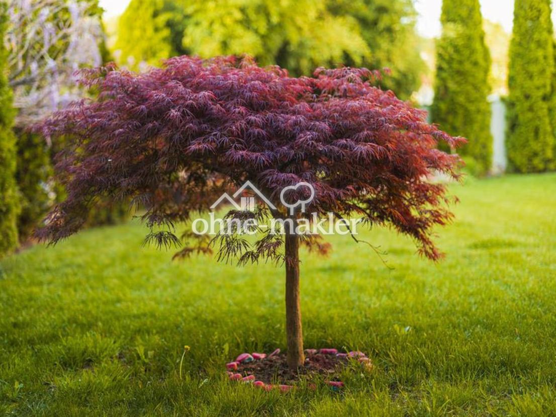 Haben Sie den grünen Daumen?