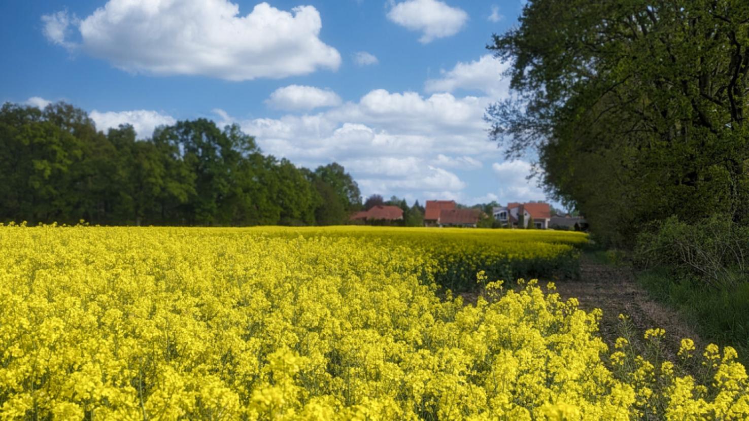 Impressionen Umfeld