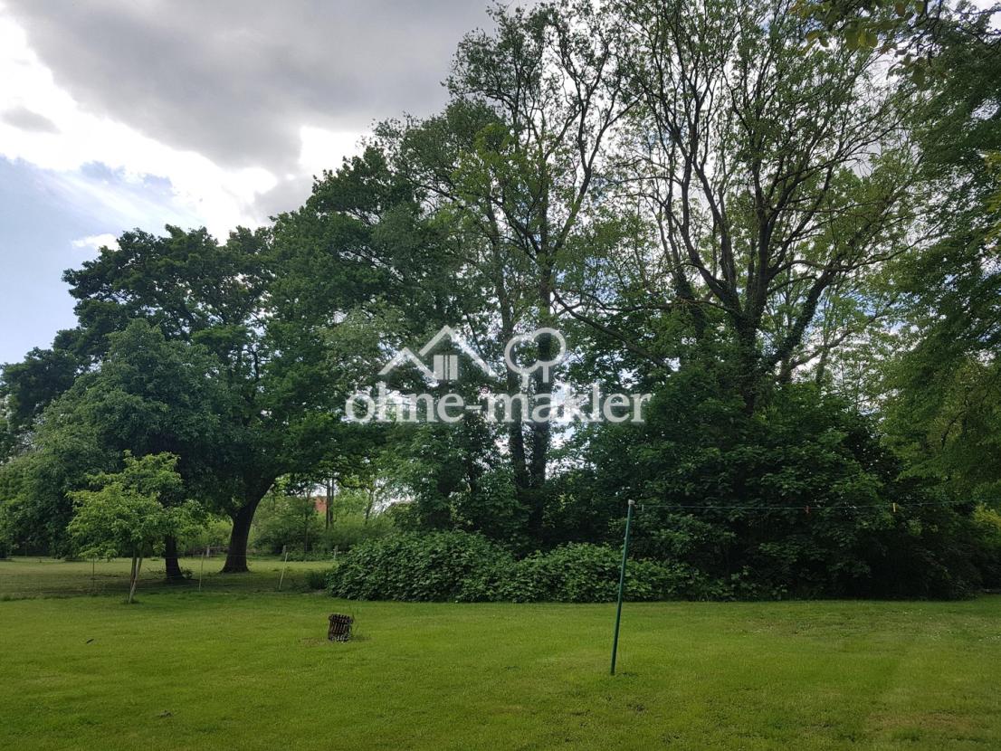 Garten rechte Hausseite