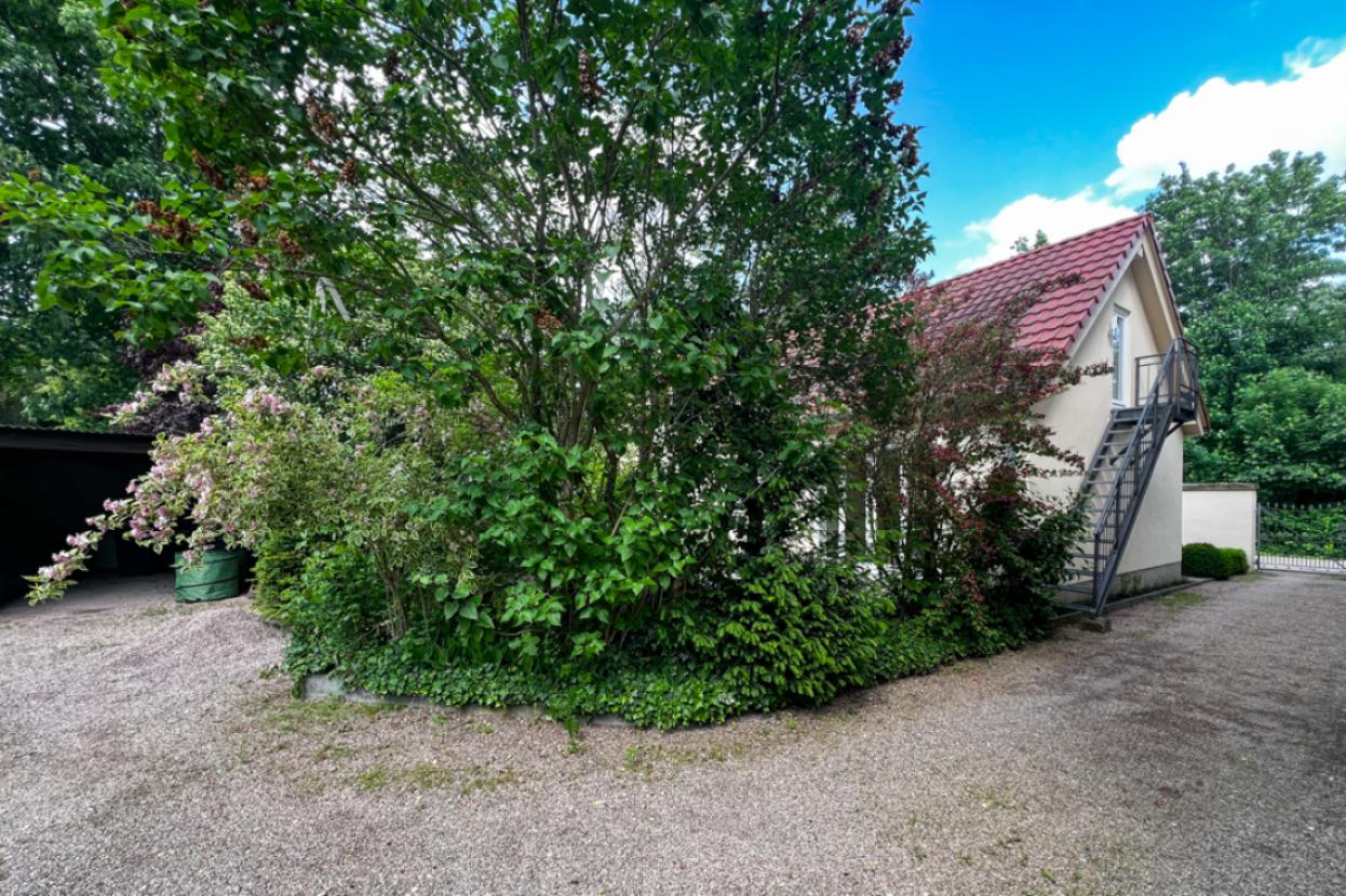Terrasse versteckt im Grünen
