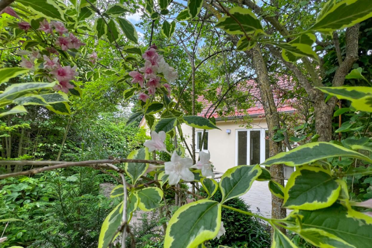 Versteckt im Grünen