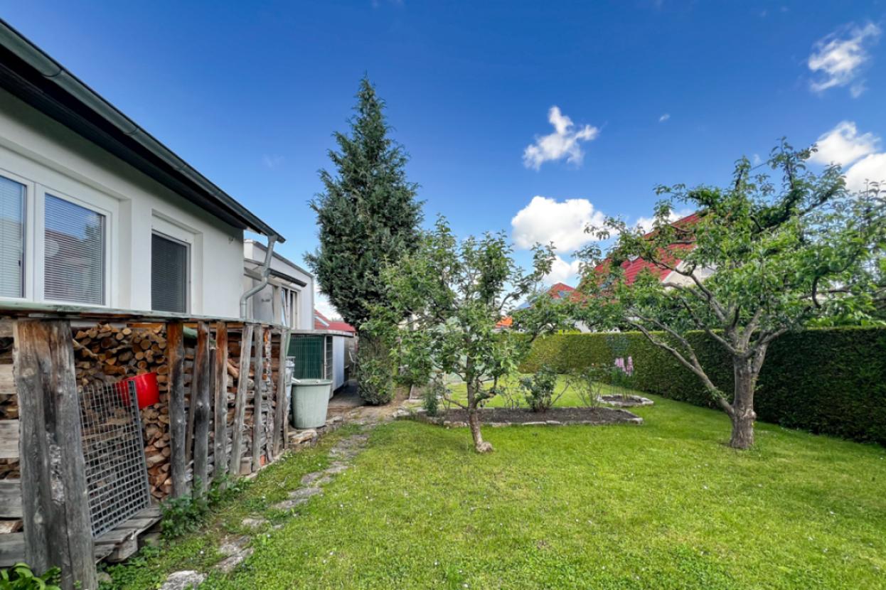 Obstbäume im Garten