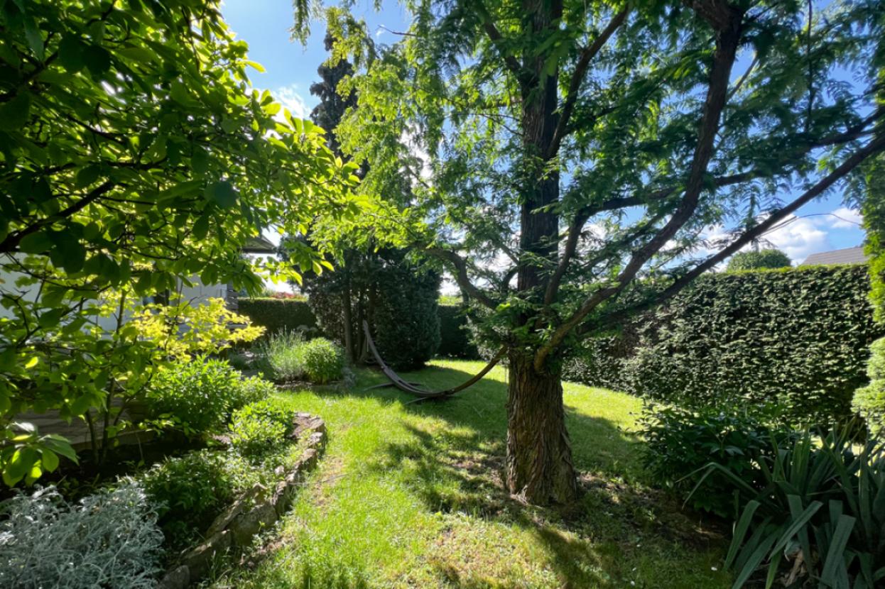 Vorgarten schirmt perfekt vor Straße ab