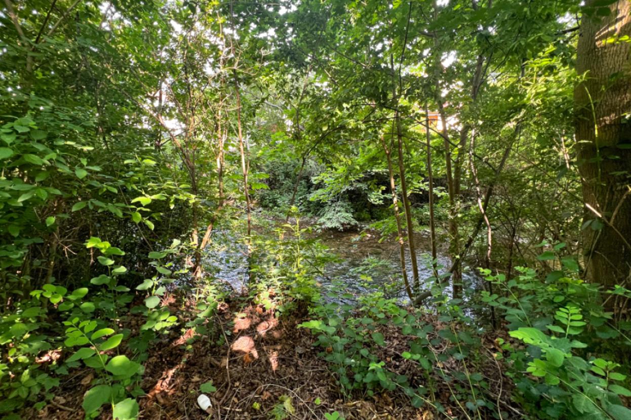 Idyllischer Fußweg an der Gera