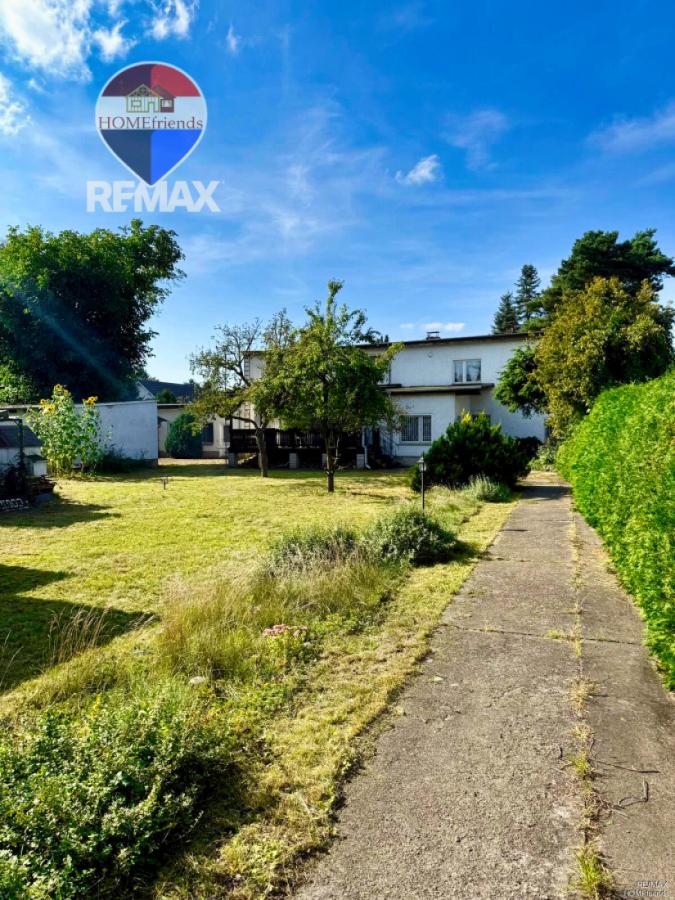 großes Flurstück vorn (1)