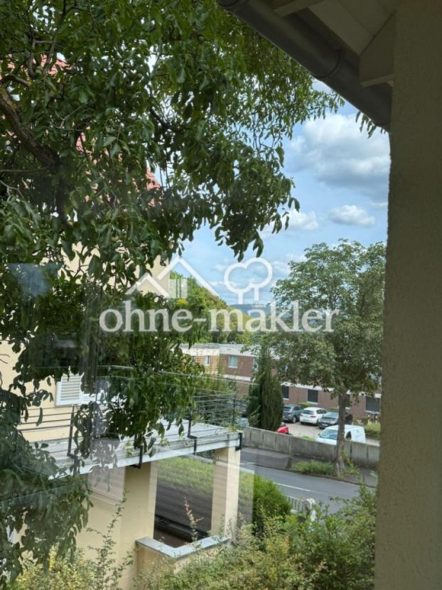 Ausblick auf den Petersberg