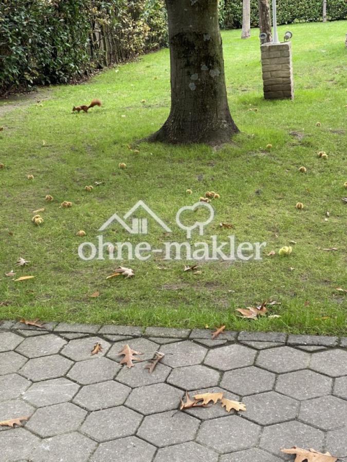 fröhliche Gartenbewohner