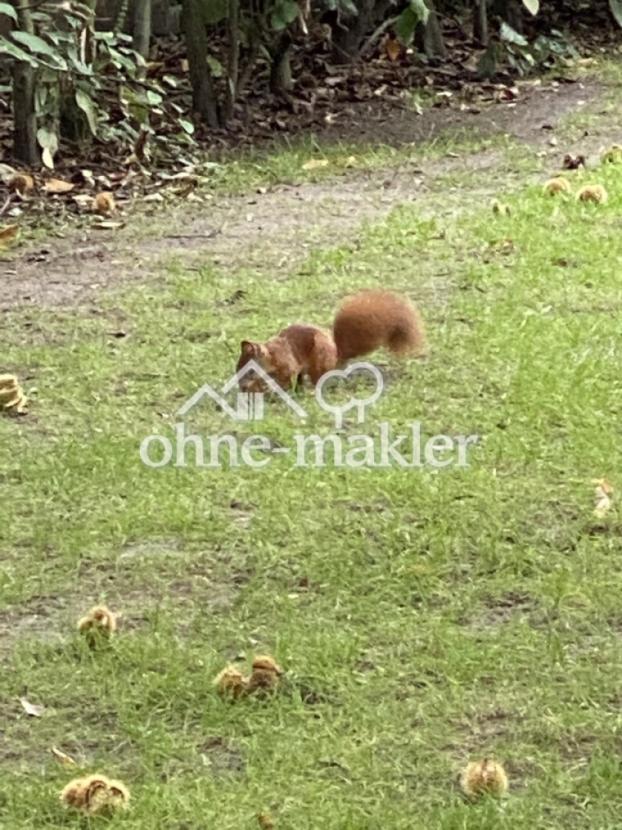 fröhliche Gartenbewohner