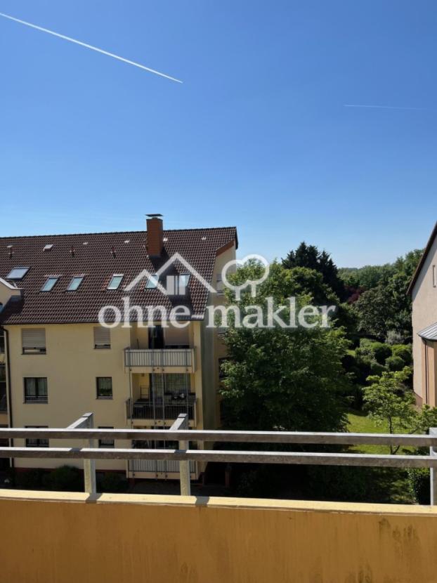 Balkonblick in die Riedwiesen