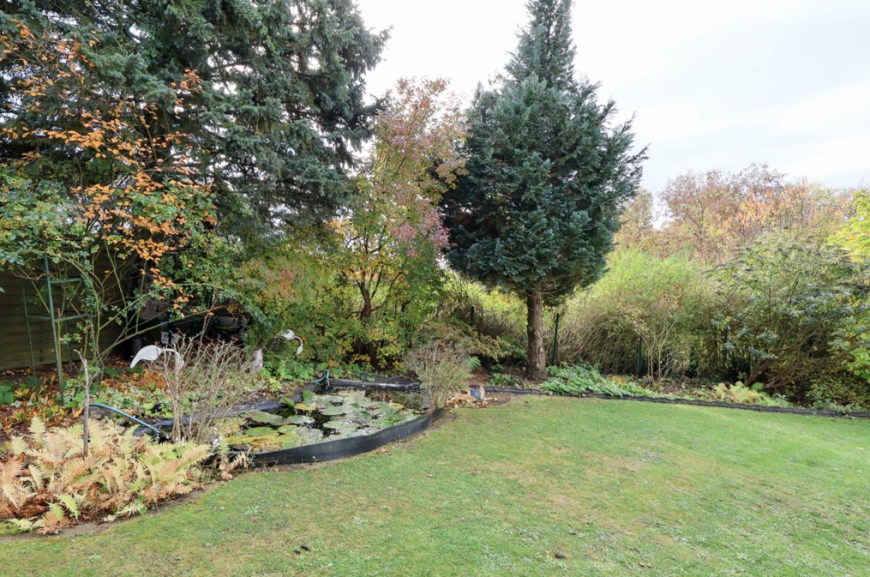 Garten und Teich