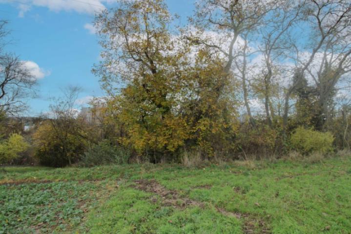 Rückansicht Grundstück