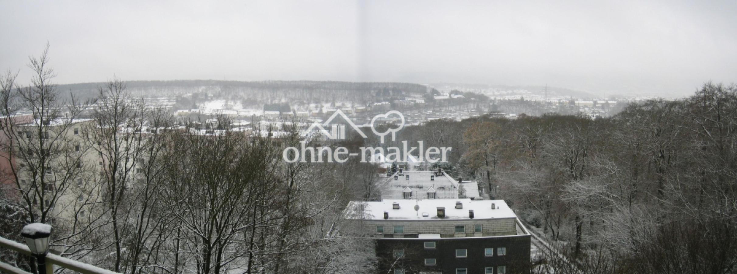 Panoramablick im Winter