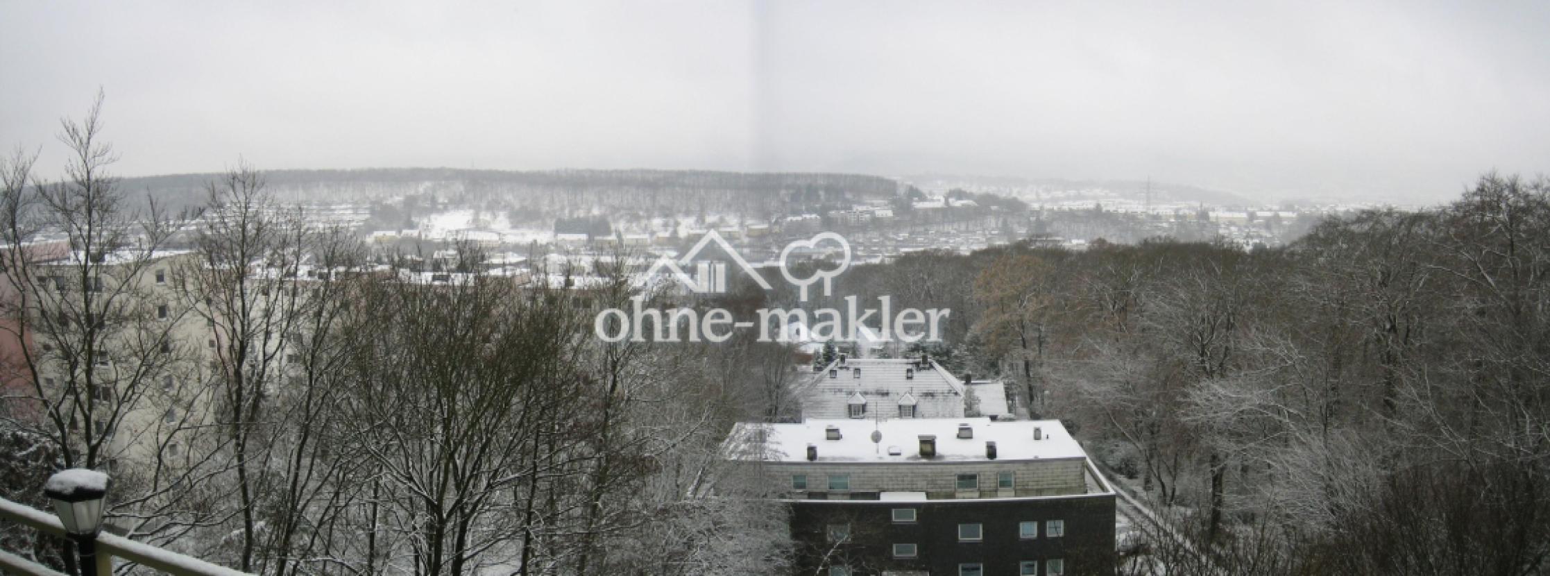Panoramablick im Winter