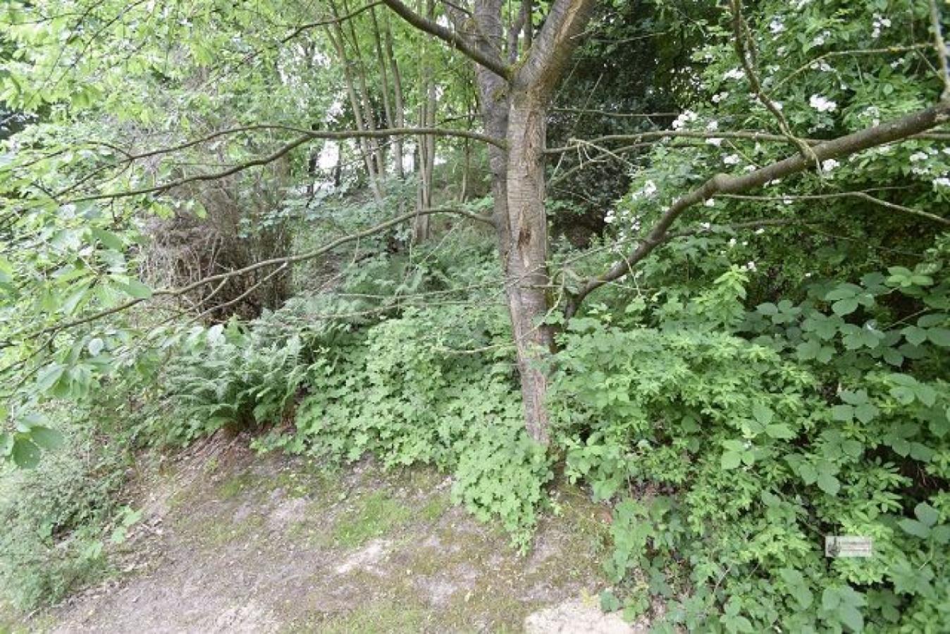 Ansteigendes Grundstück