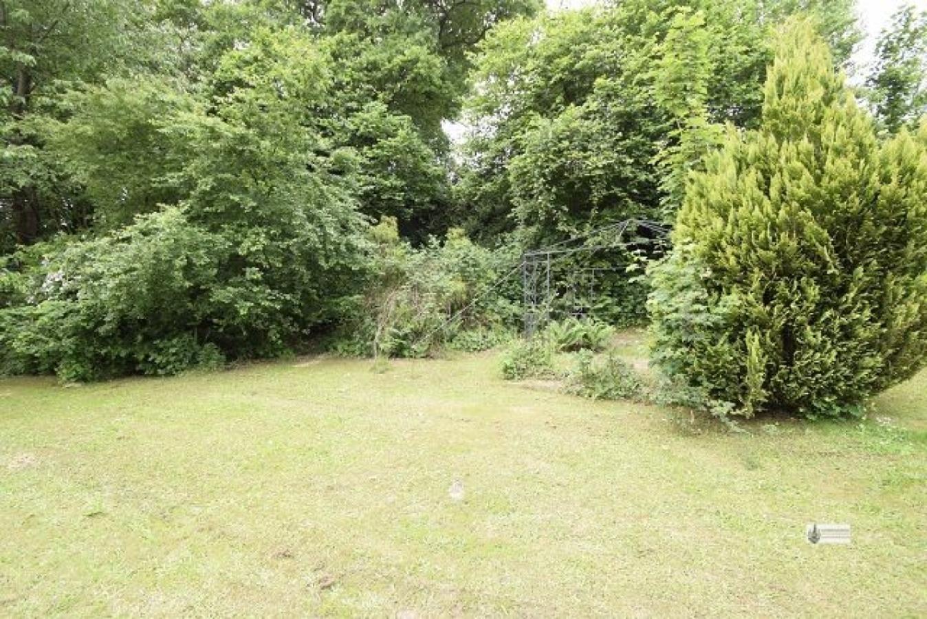 Baumbestand im Garten