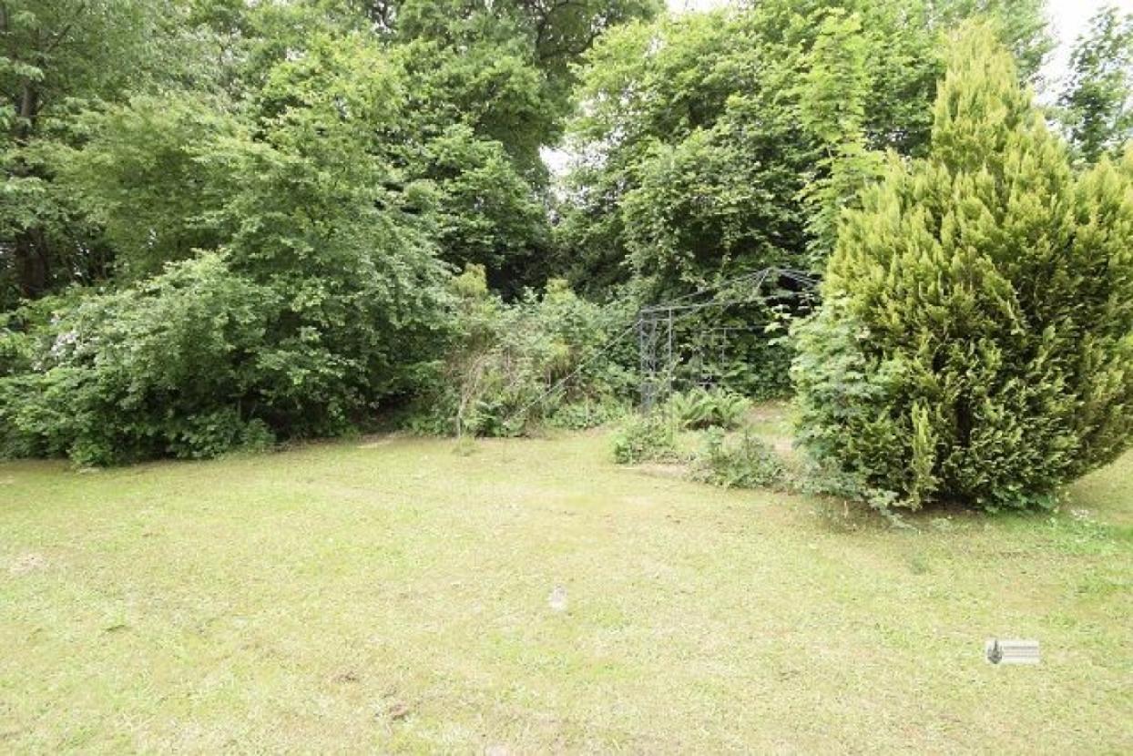 Baumbestand im Garten