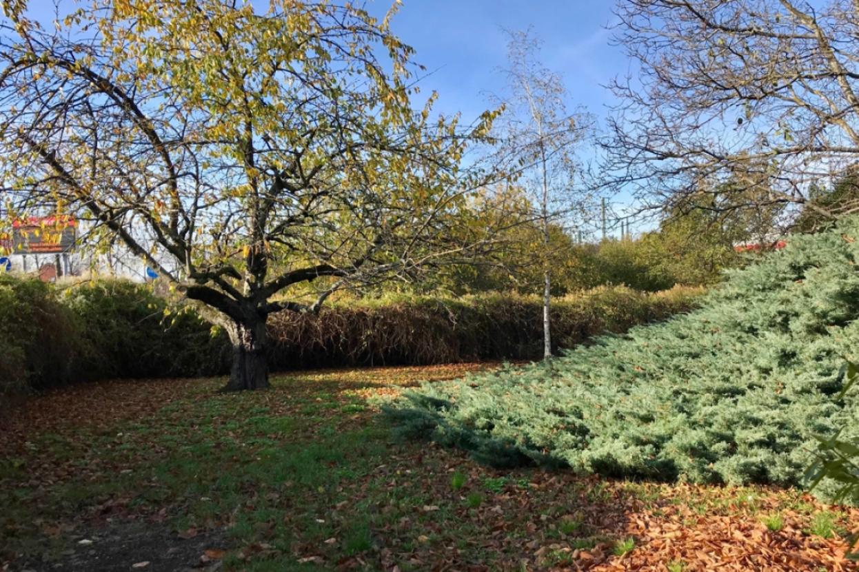 Ausblick in Nachbar's Garten