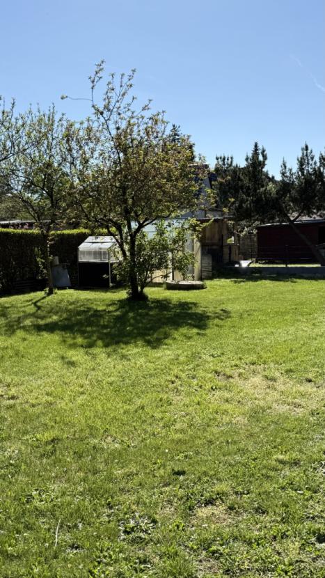 Großzügiger Obstgarten