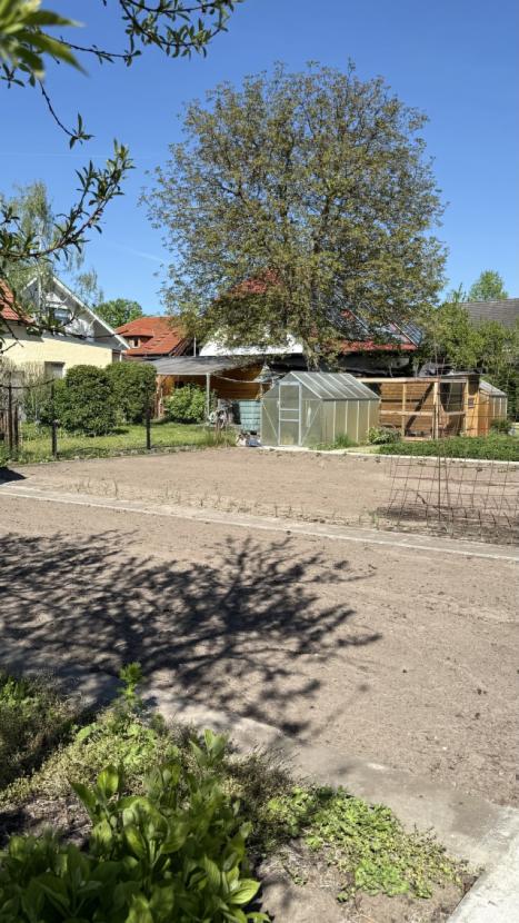 Anbaufläche im Garten