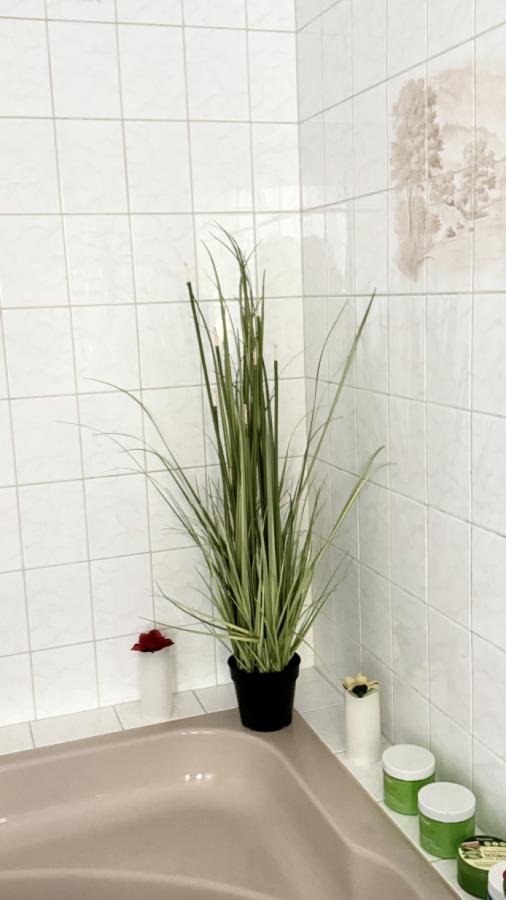 Badewanne Hauptwohnung 