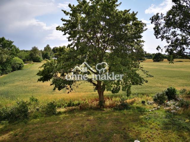 Blick aus dem Fenster