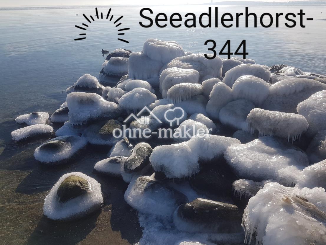 Erlebnis Winterspaziergang