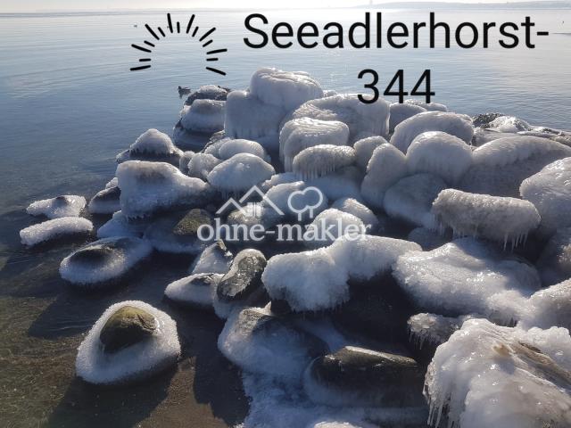 Erlebnis Winterspaziergang