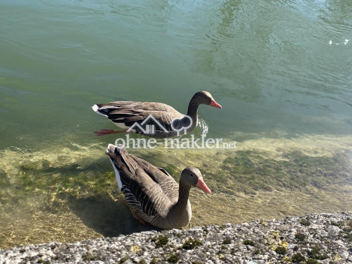 Isarkanal 5 Min zu Fuß 