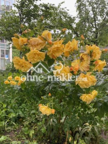 Blumenbeet vor dem Altbau