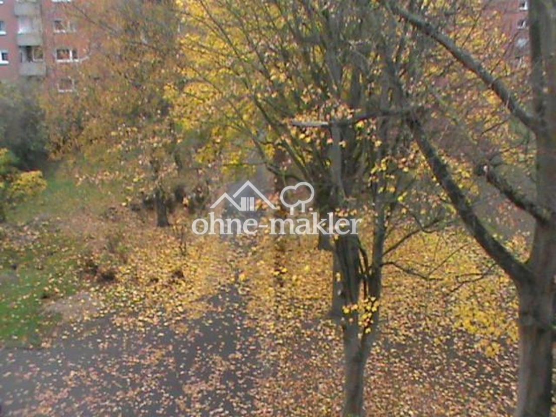 Aussicht Küche/Schlafzimmer