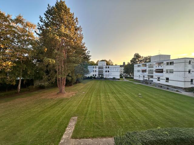 Blick aus dem Wohnzimmer