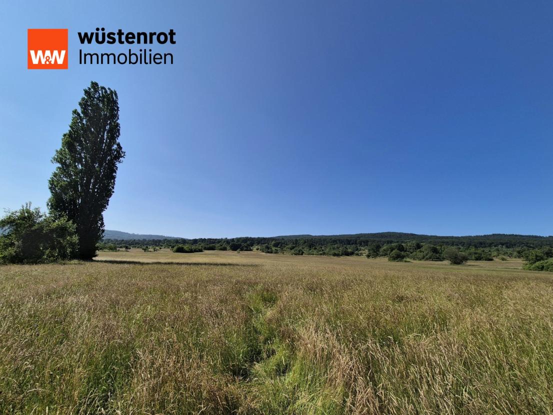 Naturschutzgebiet hinter dem Haus