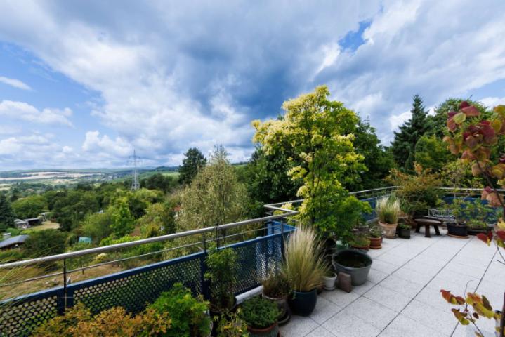 Traumblick über den Rheingau und den Taunus...