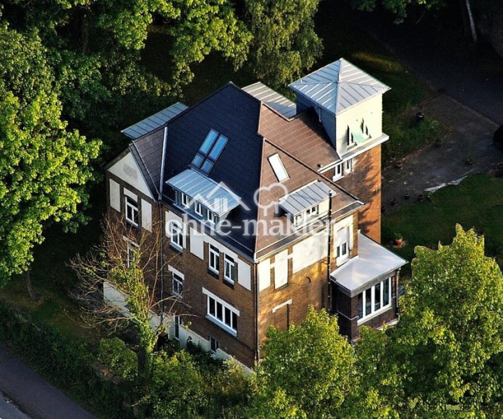 Luftbild Villa im Park