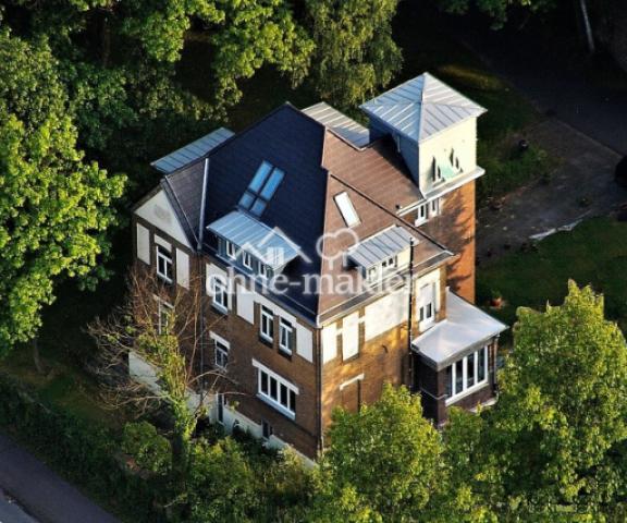 Luftbild Villa im Park